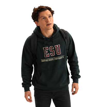 Get The Spider-Man Brand New Day ESU Hoodie