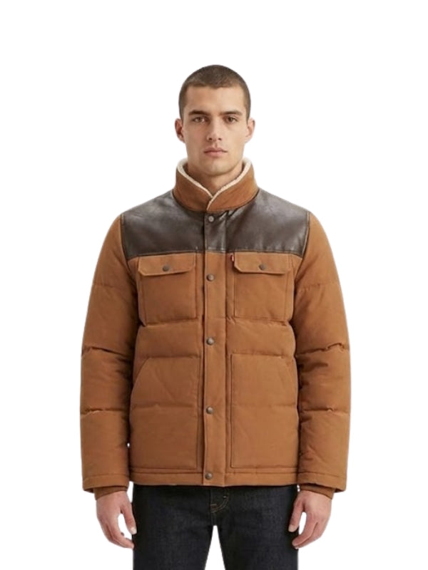 Man wearing a brown and gray quilted jacket on a white background